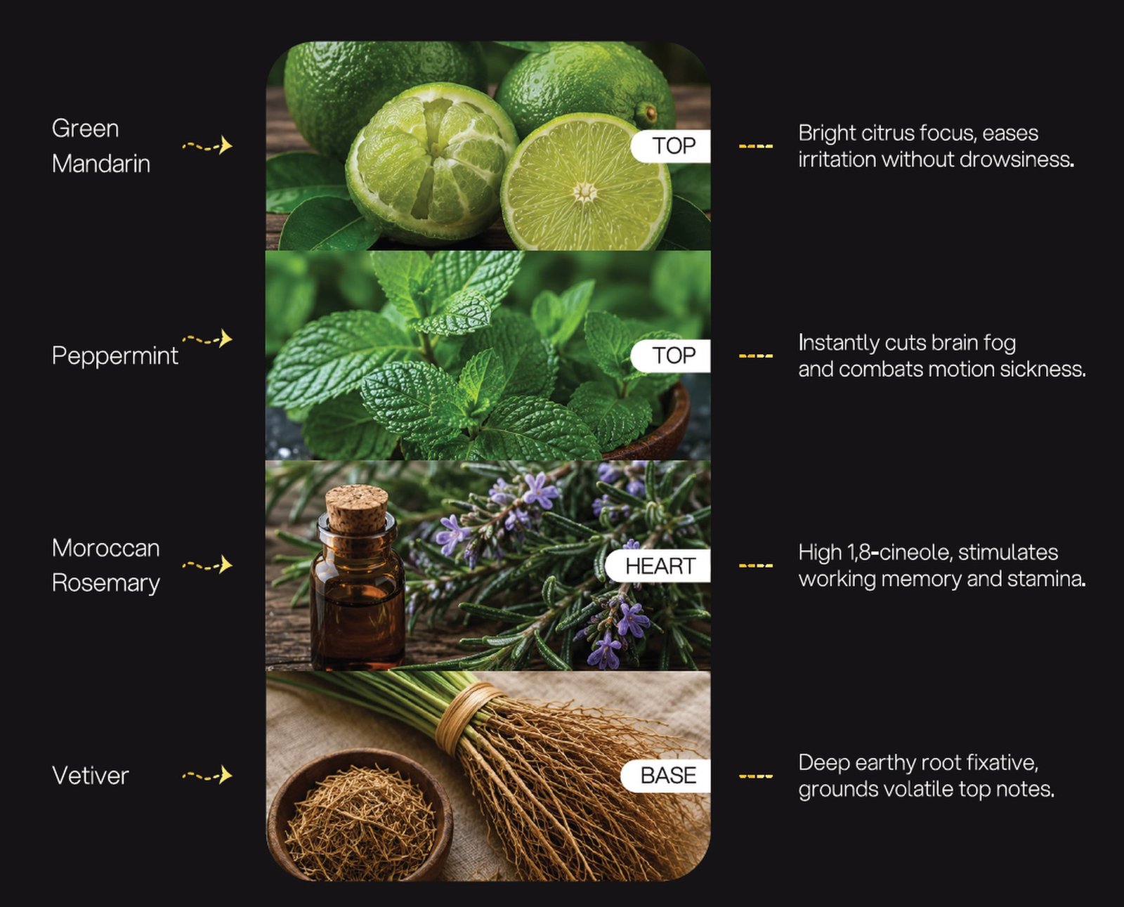 Cognitive Shift formulation architecture: Green Mandarin, Peppermint, Moroccan Rosemary, Vetiver