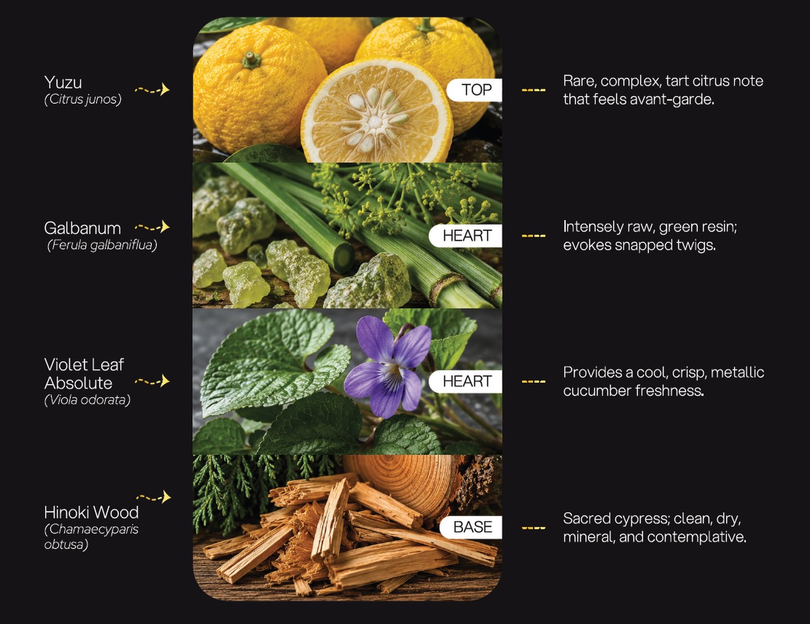 The Kyoto Bamboo Grove formulation architecture: Yuzu, Galbanum, Violet Leaf Absolute, Hinoki Wood