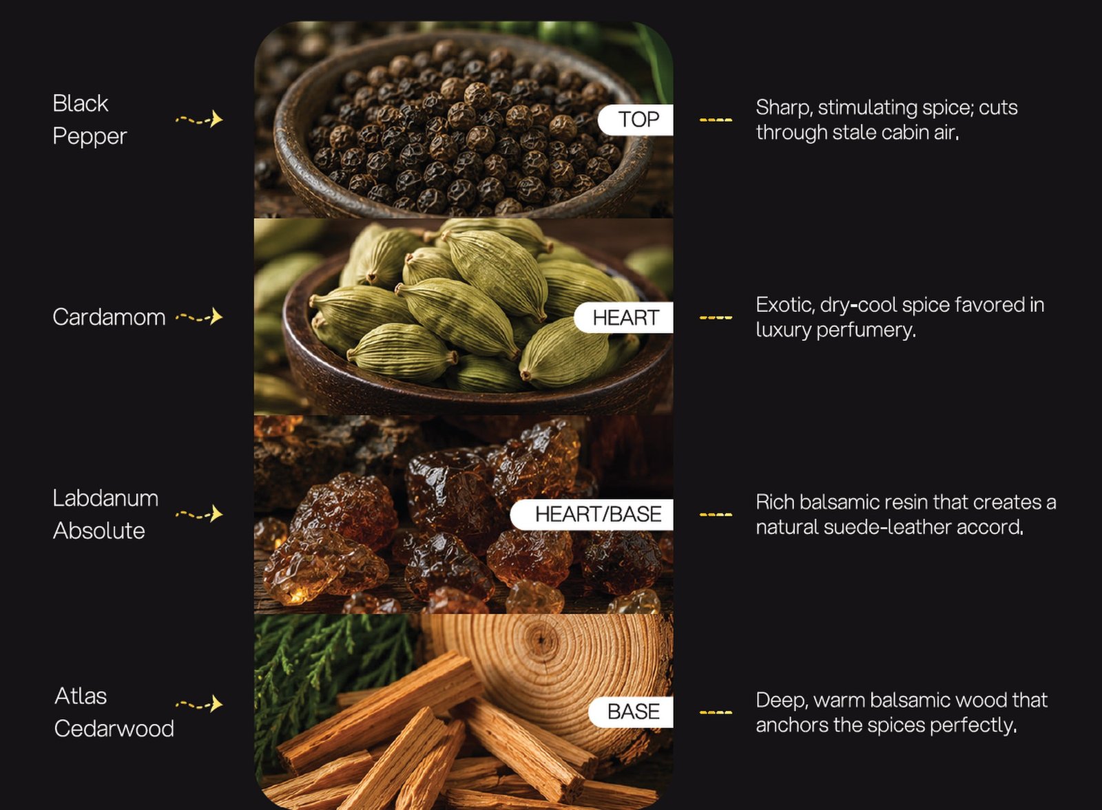 Suede & Spice Route formulation architecture: Black Pepper, Cardamom, Labdanum Absolute, Atlas Cedarwood