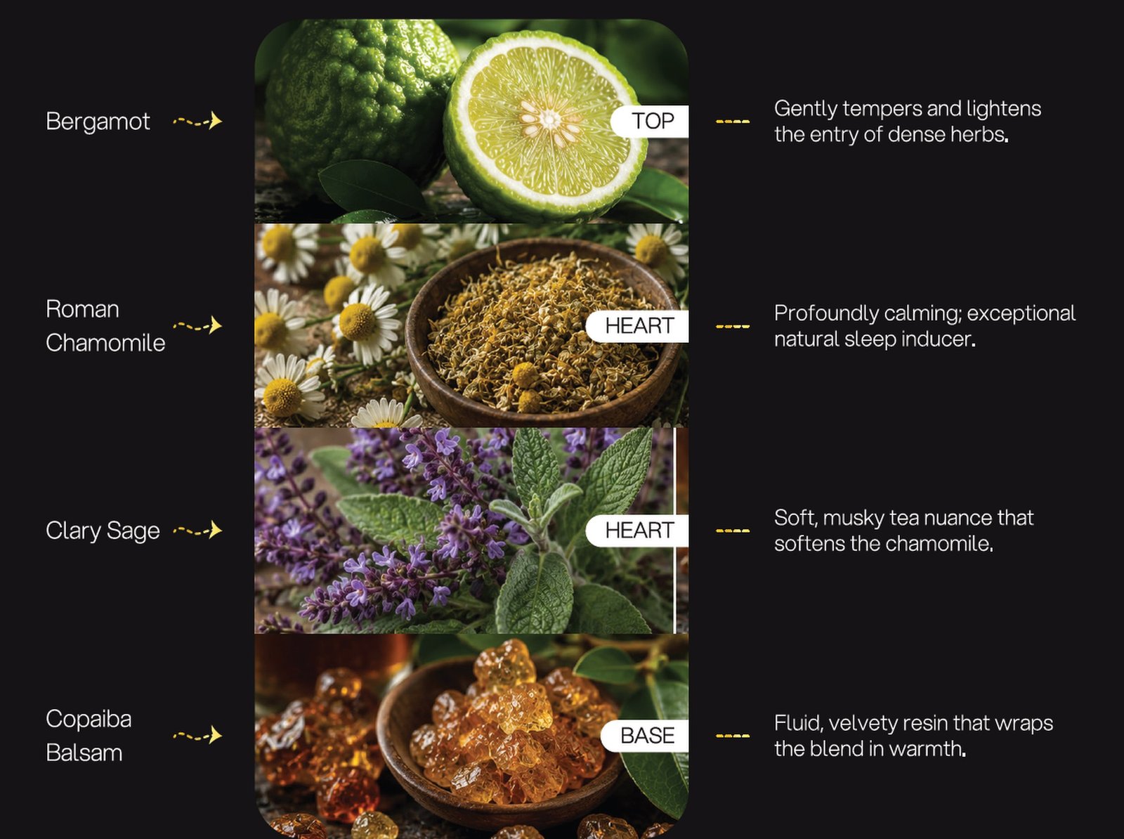Chamomile & Cashmere formulation architecture: Bergamot, Roman Chamomile, Clary Sage, Copaiba Balsam