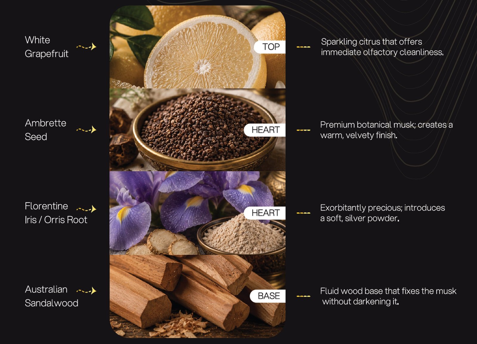 The White Musk Oasis formulation architecture: White Grapefruit, Ambrette Seed, Florentine Iris / Orris Root, Australian Sandalwood