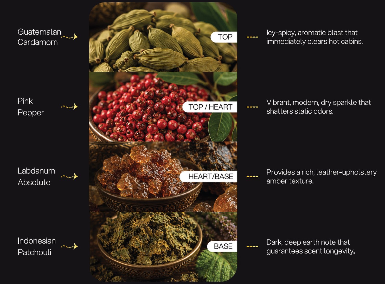 Ombré Leather & Cardamom formulation architecture: Guatemalan Cardamom, Pink Pepper, Labdanum Absolute, Indonesian Patchouli