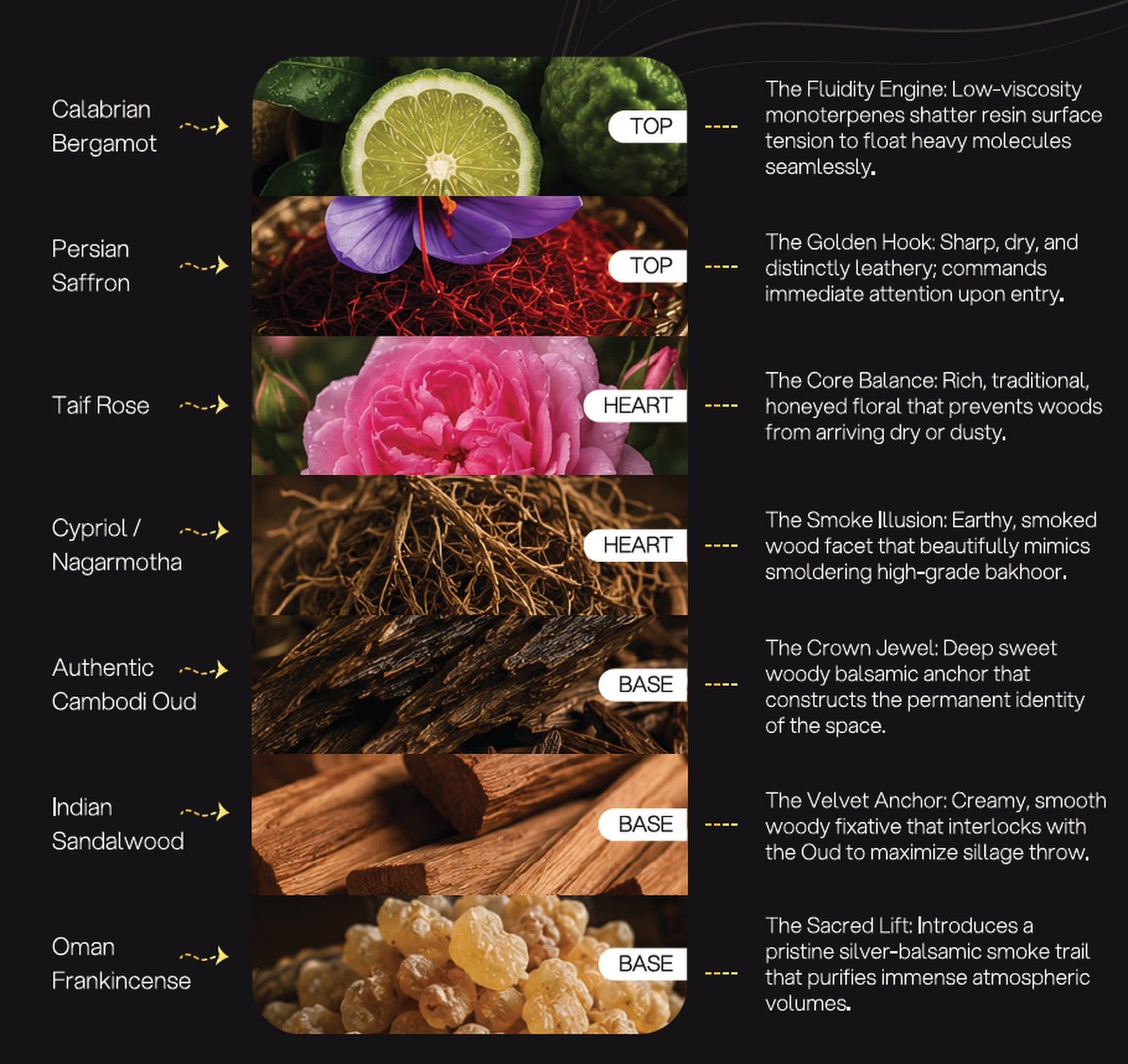 Oud Saphir Extraordinaire formulation architecture: Calabrian Bergamot, Persian Saffron, Taif Rose, Cypriol / Nagarmotha, Authentic Cambodian Oud, Indian Sandalwood, Oman Frankincense